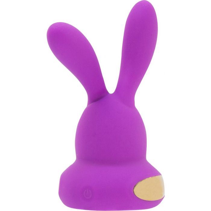 Chari Rhythm Vibrator Purple